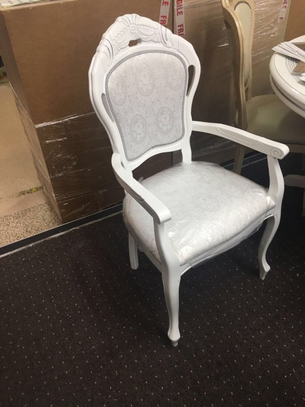 Ben Company Ben Company New Venus White & Silver Arm Chair